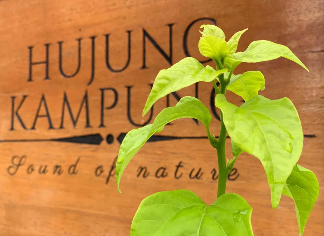 Hujung Kampung Resort Pantai Cenang  Exterior photo